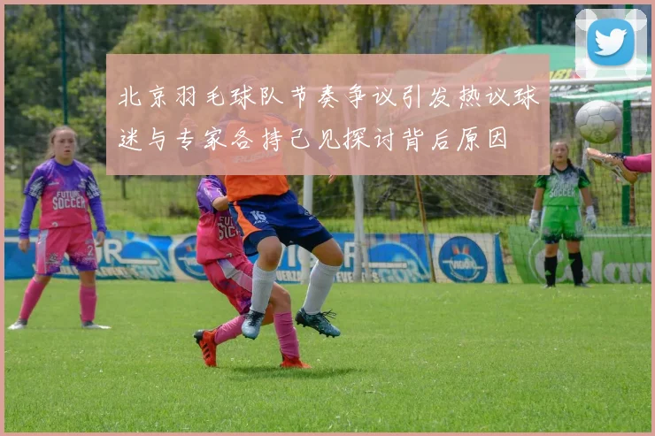 北京羽毛球队节奏争议引发热议球迷与专家各持己见探讨背后原因