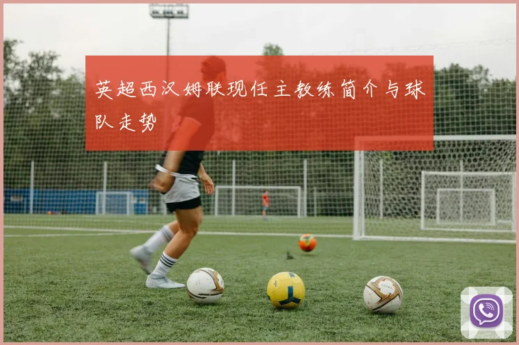 英超西汉姆联现任主教练简介与球队走势