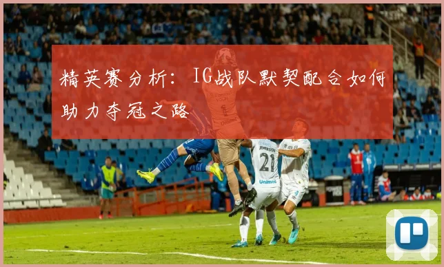 精英赛分析：IG战队默契配合如何助力夺冠之路