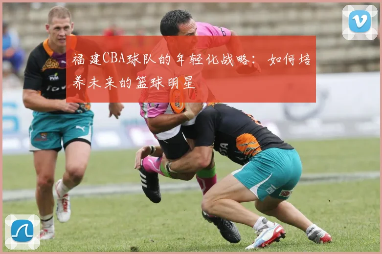 福建CBA球队的年轻化战略：如何培养未来的篮球明星